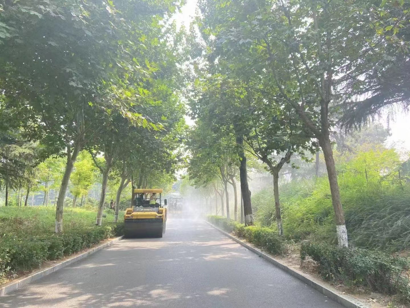 1661390160158572.jpg a597b9ae337d36ce172247b2e06363d.jpg